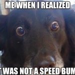 Oh no | ME WHEN I REALIZED; IT WAS NOT A SPEED BUMP | image tagged in realizing dog | made w/ Imgflip meme maker