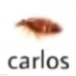 carlos | image tagged in carlos | made w/ Imgflip meme maker
