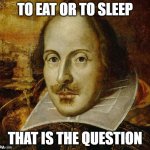 Shakesphere | TO EAT OR TO SLEEP; THAT IS THE QUESTION | image tagged in shakesphere | made w/ Imgflip meme maker