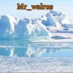 Mr_walrus