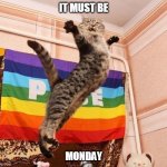 Pride Cat | IT MUST BE; MONDAY | image tagged in pride cat,garfield,cat,poor cat,monday,cruel | made w/ Imgflip meme maker