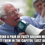 Bernie Sanders megaphone | IF YOU FIND A PAIR OF FUZZY BROWN MITTENS, PLEASE PUT THEM IN THE CAPITOL  LOST AND FOUND. | image tagged in bernie sanders megaphone | made w/ Imgflip meme maker