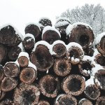 Snowy log pile