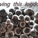 Logdown winter 2021 | Loving  this  logdown; WINTER 2021 | image tagged in snowy log pile,snow,timber,lumber,logs,winter | made w/ Imgflip meme maker
