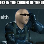 Stelth | ME: PEES IN THE CORNER OF THE URINAL | image tagged in stelth | made w/ Imgflip meme maker