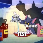 Tom and jerry chemistry | THINGS THEY DIDN'T TEACH; TEACHERS; TEST | image tagged in tom and jerry chemistry | made w/ Imgflip meme maker