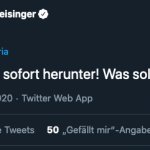 Beate Meinl-Reisinger meme