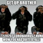 monkeys | GET UP BROTHER; WHAT? 2020? CORONAVIRUS? HUMANS?
WOW YOU HAD QUITE A FALL! | image tagged in monkeys | made w/ Imgflip meme maker