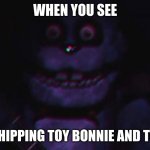 stop the shipping already | WHEN YOU SEE; PEOPLE SHIPPING TOY BONNIE AND TOY CHICA | image tagged in fnaf bonnie | made w/ Imgflip meme maker