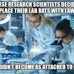 Makes Perfect Sense | THESE RESEARCH SCIENTISTS DECIDED TO REPLACE THEIR LAB RATS WITH LAWYERS. THEY DIDN'T BECOME AS ATTACHED TO THEM. | image tagged in lawyer,joke,humor,funny,lawyer joke | made w/ Imgflip meme maker