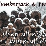 Okay Lumberjack | I'm a lumberjack & I'm okay; I sleep all night 
& I work all day. | image tagged in snowy log pile,lumberjack,wood,forestry,timber | made w/ Imgflip meme maker