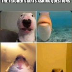 online classes | ME AND THE BOYS CONFUSED AF WHEN THE TEACHER STARTS ASKING QUESTIONS | image tagged in online classes | made w/ Imgflip meme maker