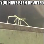 buggle dance | YOU HAVE BEEN UPVOTED | image tagged in stickbug | made w/ Imgflip meme maker