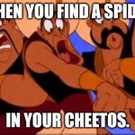 Aladdin | WHEN YOU FIND A SPIDER; IN YOUR CHEETOS. | image tagged in aladdin | made w/ Imgflip meme maker