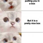 shrodinger 3 pane react