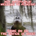 A warm Florida welcome to Antifa/BLM | HEY ANTIFA/BLM! WELCOME TO FLORIDA! COME ON IN. THE WATER IS NICE! | image tagged in alligator,meanwhile in florida | made w/ Imgflip meme maker
