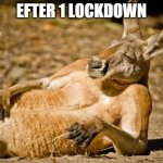 Chillin Kangaroo | EFTER 1 LOCKDOWN | image tagged in chillin kangaroo | made w/ Imgflip meme maker