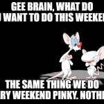 Pinky and the Brain - Not going out | GEE BRAIN, WHAT DO YOU WANT TO DO THIS WEEKEND? THE SAME THING WE DO EVERY WEEKEND PINKY. NOTHING. | image tagged in pinky and the brain | made w/ Imgflip meme maker