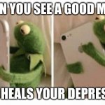 depression is real | WHEN YOU SEE A GOOD MEME; THAT HEALS YOUR DEPRESSION | image tagged in kermit phone | made w/ Imgflip meme maker