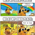 Unbearable | ME AT MY PARENT'S HOUSE:; ME AT MY OWN PLACE: | image tagged in unbearable,this is fine,memes,funny meme | made w/ Imgflip meme maker