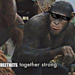 r/WallStreetBets together strong | R/WALLSTREETBETS | image tagged in apes together strong | made w/ Imgflip meme maker