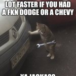 cat mechanic | WOULD'VE BEEN A LOT FASTER IF YOU HAD A FKN DODGE OR A CHEVY; YA JACKASS | image tagged in cat mechanic | made w/ Imgflip meme maker