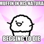 somebody kill me ASDF | HERE IS A MUFFIN IN HIS NATURAL HABITAT BEGGING TO DIE | image tagged in somebody kill me asdf | made w/ Imgflip meme maker