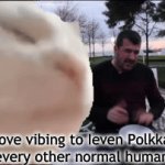 Wait is this a normal thing? | I love vibing to Ieven Polkka... ...Like every other normal human being... | image tagged in gifs,funny,ieven polkka,memes | made w/ Imgflip video-to-gif maker