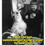 Girl telling a bread joke to her pet goat. | What's the most sophisticated part of a loaf of bread? 
The upper crust! | image tagged in girl and goat laughing,funny | made w/ Imgflip meme maker