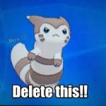 Furret delete this meme