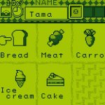 Tamagotchi Food!