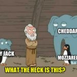 Cheese | CHEDDAR; COLBY JACK; MOZZARELLA; WHAT THE HECK IS THIS? | image tagged in blank noah elephant penguin,cheese | made w/ Imgflip meme maker