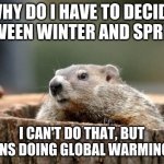 Groundhog talking | WHY DO I HAVE TO DECIDE BETWEEN WINTER AND SPRING? I CAN'T DO THAT, BUT HUMANS DOING GLOBAL WARMING CAN. | image tagged in groundhog | made w/ Imgflip meme maker