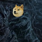 HODL THE DOGE