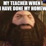 my teacher | MY TEACHER WHEN I SAY I HAVE DONE MY HOMEWORK | image tagged in hagrrod | made w/ Imgflip meme maker