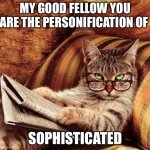 Judgmental cat | MY GOOD FELLOW YOU ARE THE PERSONIFICATION OF; SOPHISTICATED | image tagged in sophisticat,sophisticated,sarcasm,memes | made w/ Imgflip meme maker