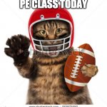 Sports | PE CLASS TODAY | image tagged in sports | made w/ Imgflip meme maker