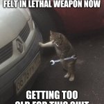 cat mechanic | KNOW HOW DANNY GLOVER FELT IN LETHAL WEAPON NOW; GETTING TOO OLD FOR THIS SHIT | image tagged in cat mechanic | made w/ Imgflip meme maker