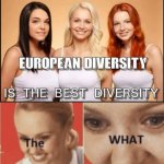 European diversity is the best diversity