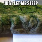 bigfoot evidence | JUST LET ME SLEEP | image tagged in bigfoot evidence | made w/ Imgflip meme maker