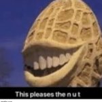 yes