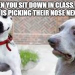 NASTY DOGEY | WHEN YOU SIT DOWN IN CLASS, AND SOMEONE IS PICKING THEIR NOSE NEXT TO YOU. | image tagged in disgusted dogey,booger | made w/ Imgflip meme maker