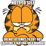 Note to Self... | NOTE TO SELF; DO NOT ATTEMPT TO CUT OUT CAFFEINE STARTING ON A MONDAY | image tagged in garfield | made w/ Imgflip meme maker