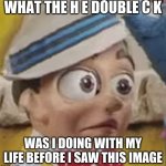 ICON | WHAT THE H E DOUBLE C K; WAS I DOING WITH MY LIFE BEFORE I SAW THIS IMAGE | image tagged in confused stingy | made w/ Imgflip meme maker
