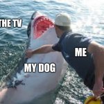 Man pushing shark | THE TV; ME; MY DOG | image tagged in man pushing shark | made w/ Imgflip meme maker