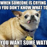 Derpy Dog | WHEN SOMEONE IS CRYING  AND YOU DON'T KNOW WHAT TO DO; DO YOU WANT SOME WATER? | image tagged in derpy dog | made w/ Imgflip meme maker