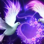 Heart Doves