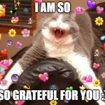 :D | I AM SO; SO GRATEFUL FOR YOU :) | image tagged in wholesome cat | made w/ Imgflip meme maker