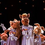 Pigs in space