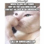Smudge | WHEN FILLING OUT FORMS WHY DO THEY ASK WHO DO WE CONTACT IN CASE OF AN EMERGENCY? J M; CALL AN AMBULANCE OR A DOCTOR YOU IDIOTS. WHAT IS MY MOM GOING TO DO? | image tagged in smudge | made w/ Imgflip meme maker